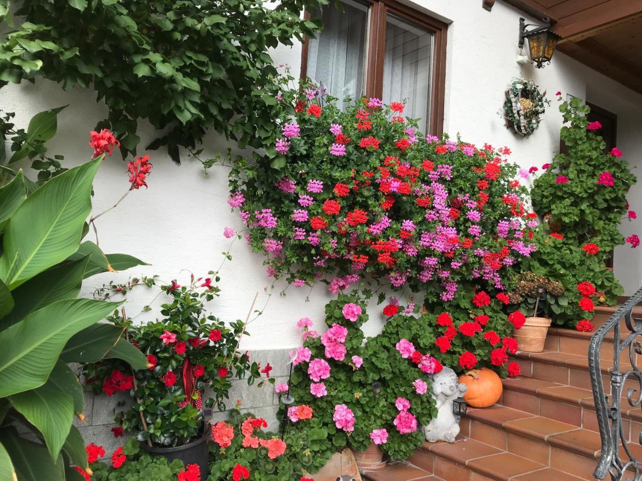 Haus Katharina Hotel Wagrain Exterior photo